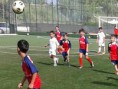 /album/foto-amichevole-tra-accademia-calcio-merlo-e-a-s-d-altavilla-soccer-school/a11535714-496743417140804-7046355300621653464-n-jpg/